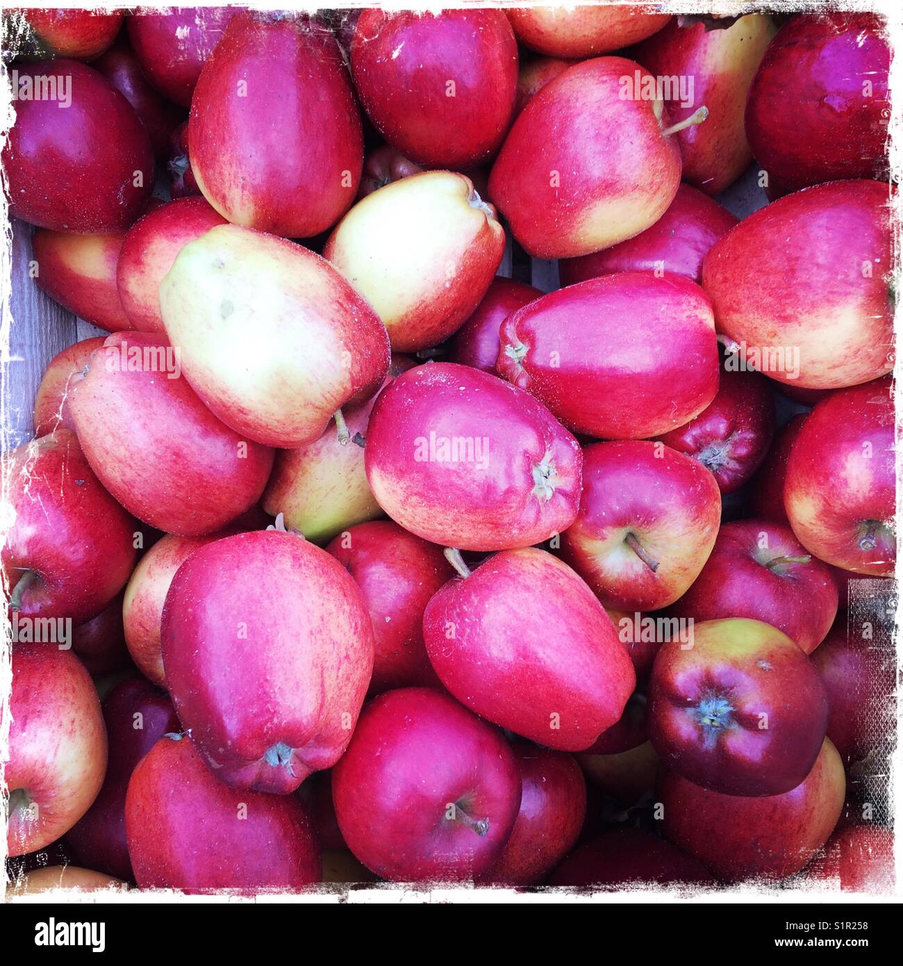 Box of red apples for sale Stock Photo