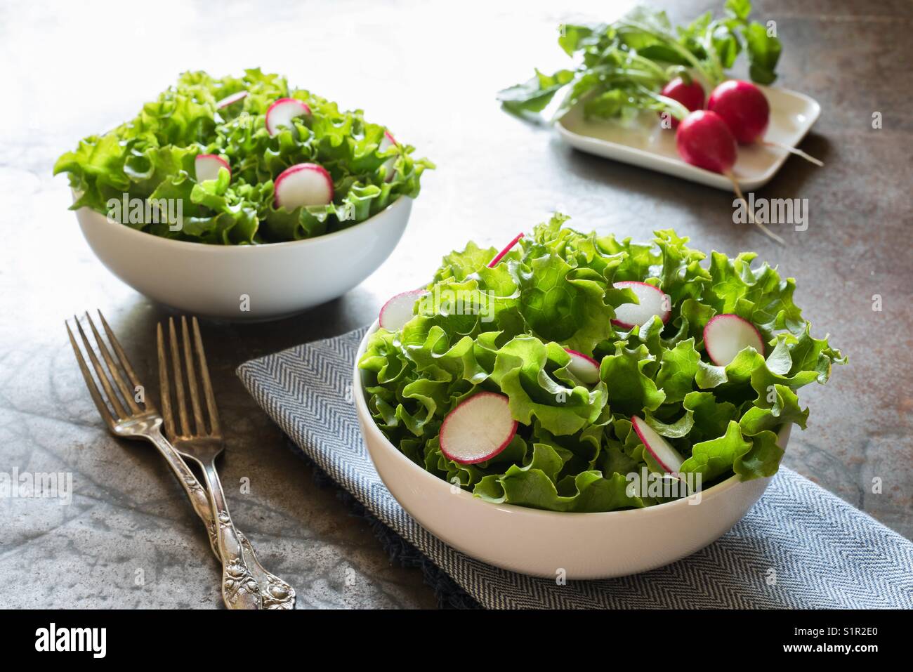 Leaf lettuce and radish salad Stock Photo