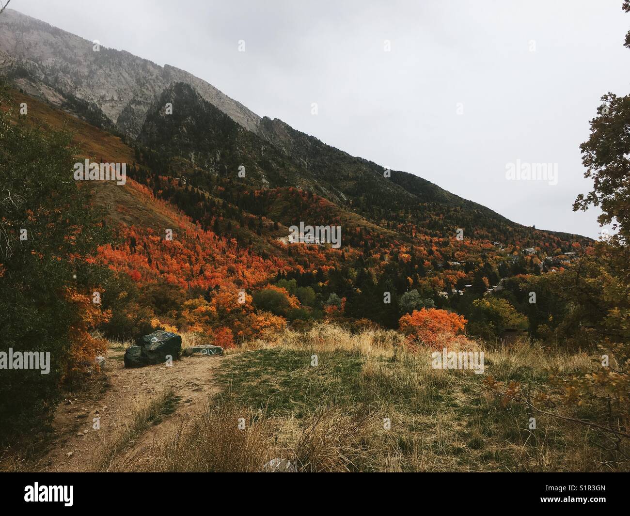 Fall colors below Mt Olympus in Salt Lake City, Utah. Stock Photo
