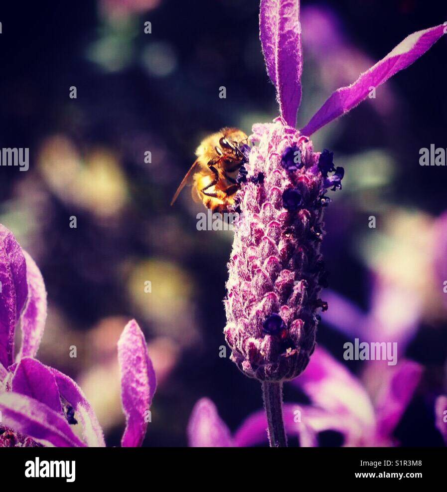 Spring time Stock Photo