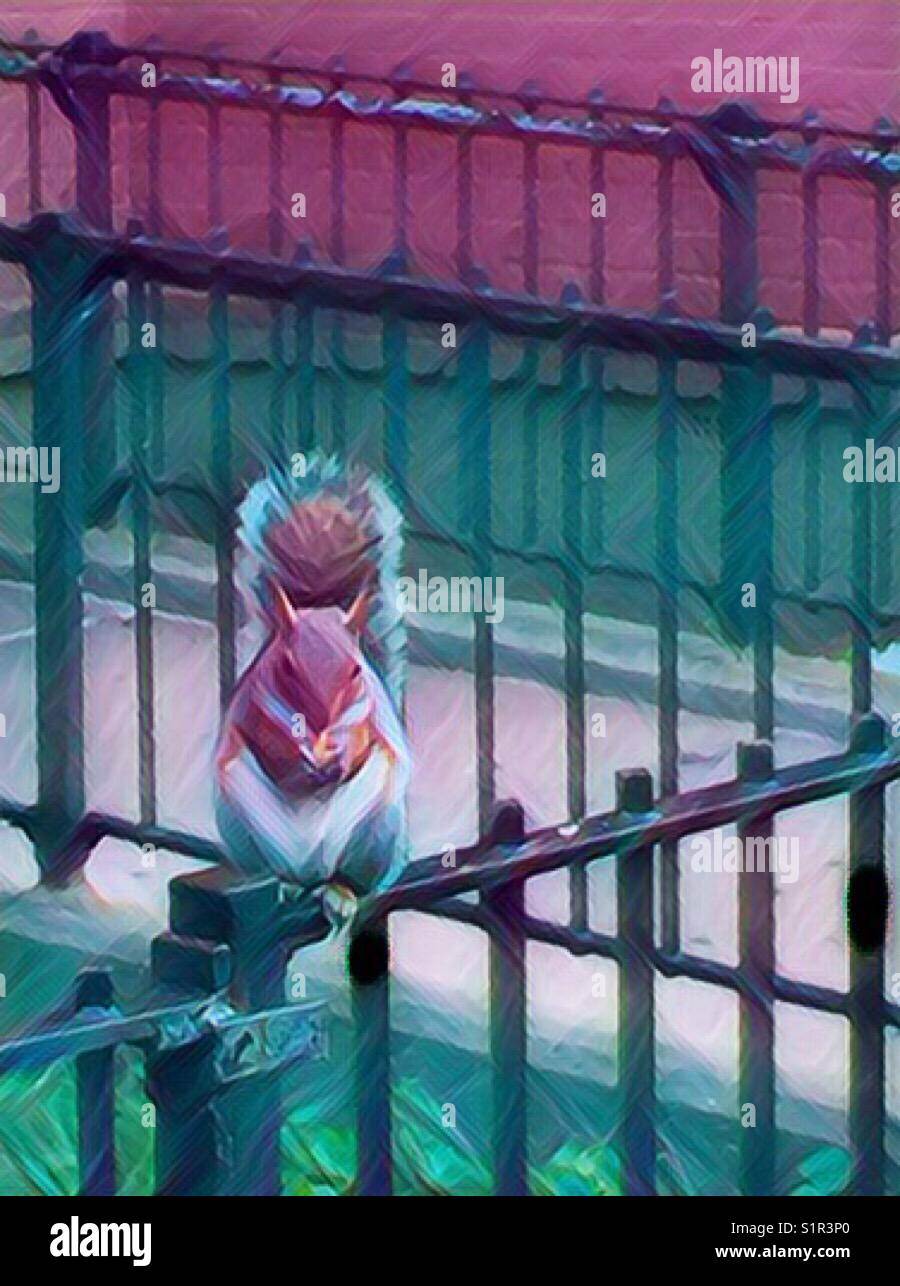 Whimsical city squirrel clothed in pink and turquoise perched on a wrought iron fence clutching his treasure Stock Photo