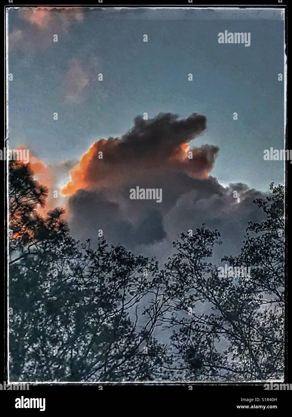 Dramatic storm clouds above the trees at sunset Stock Photo - Alamy