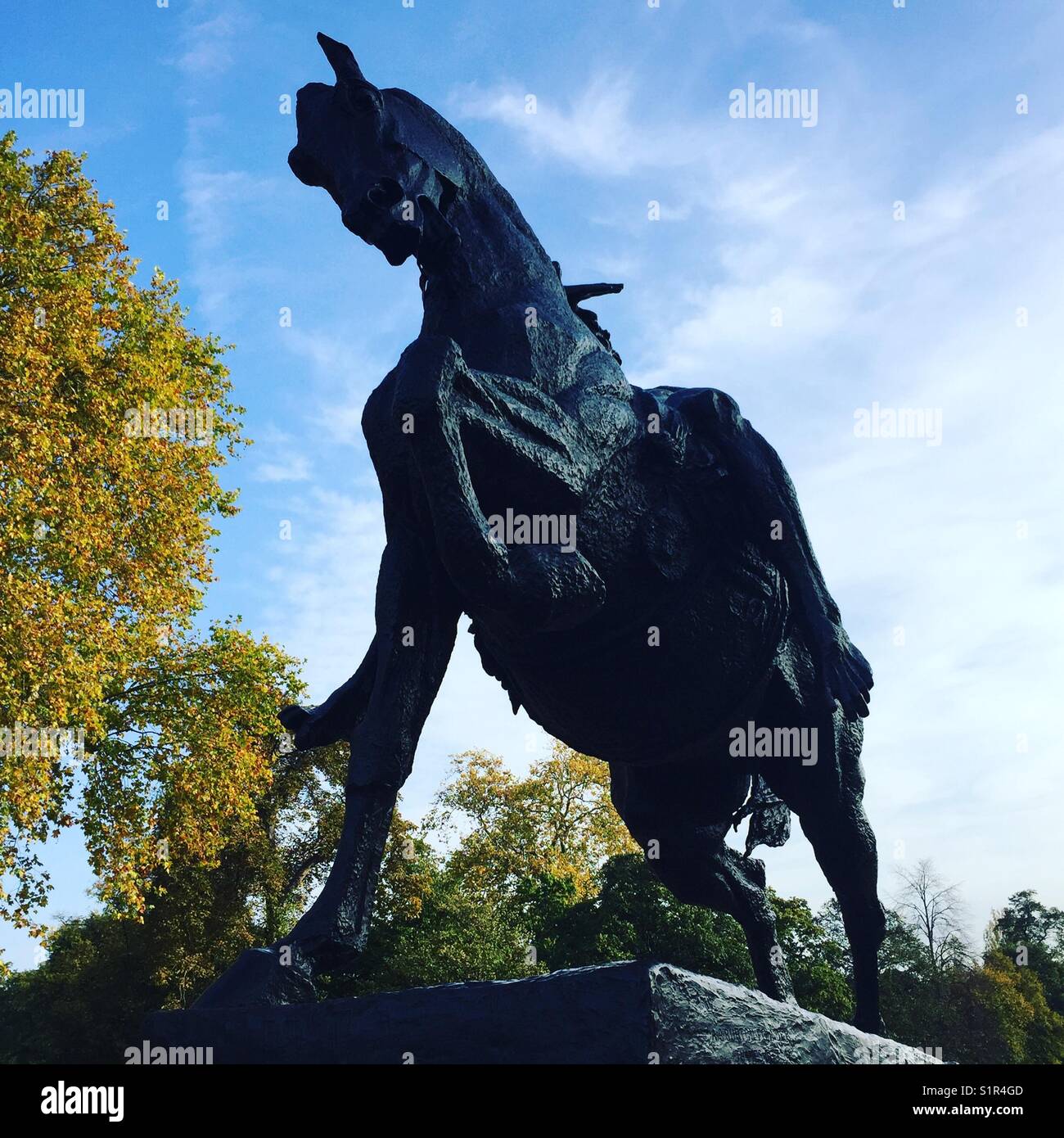 Black horse in London Stock Photo