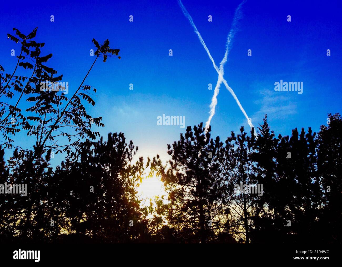 Jet streams making an X in the sky at sunset in Orono, Ontario Canada Stock Photo