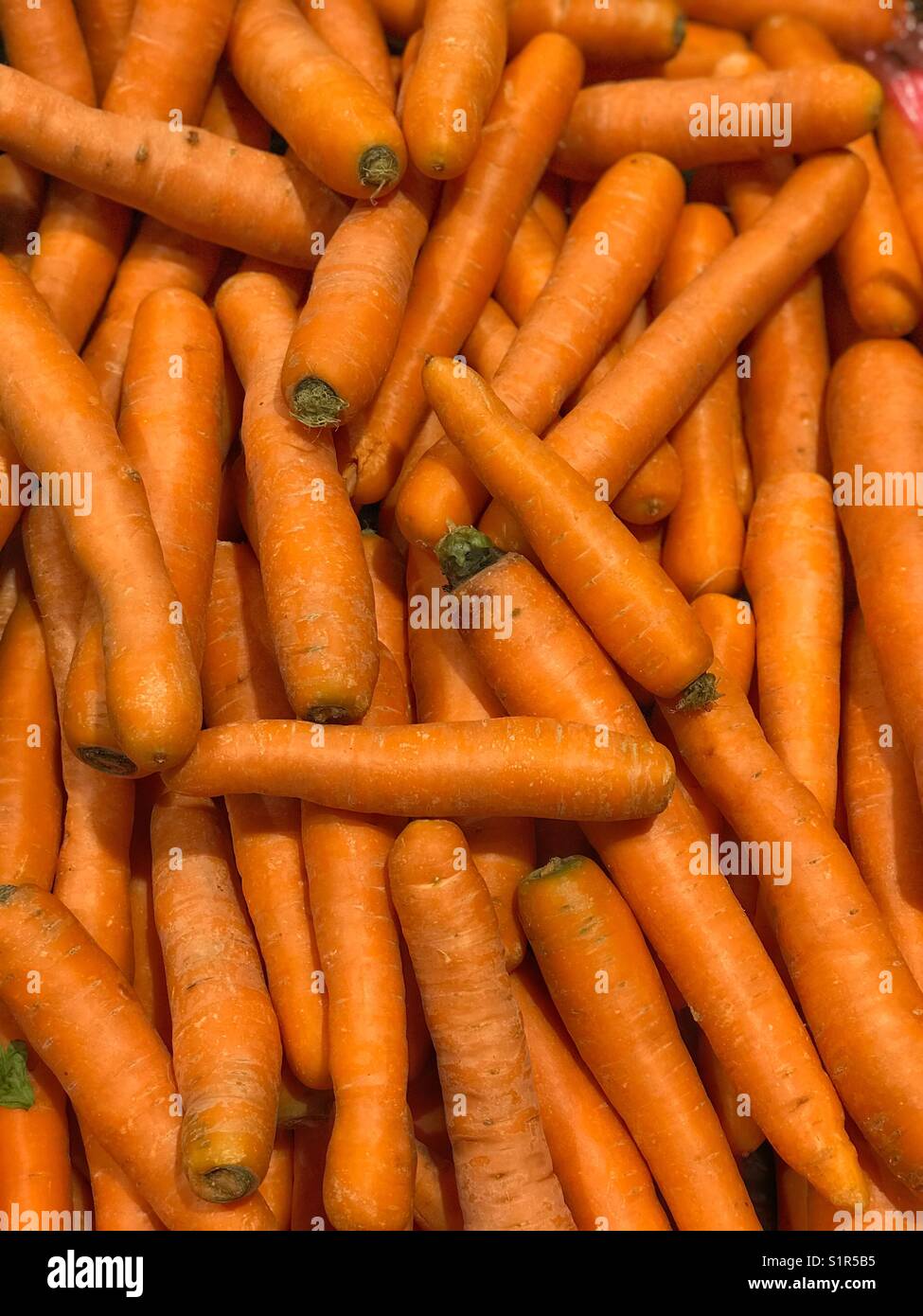 Many organic carrots Stock Photo