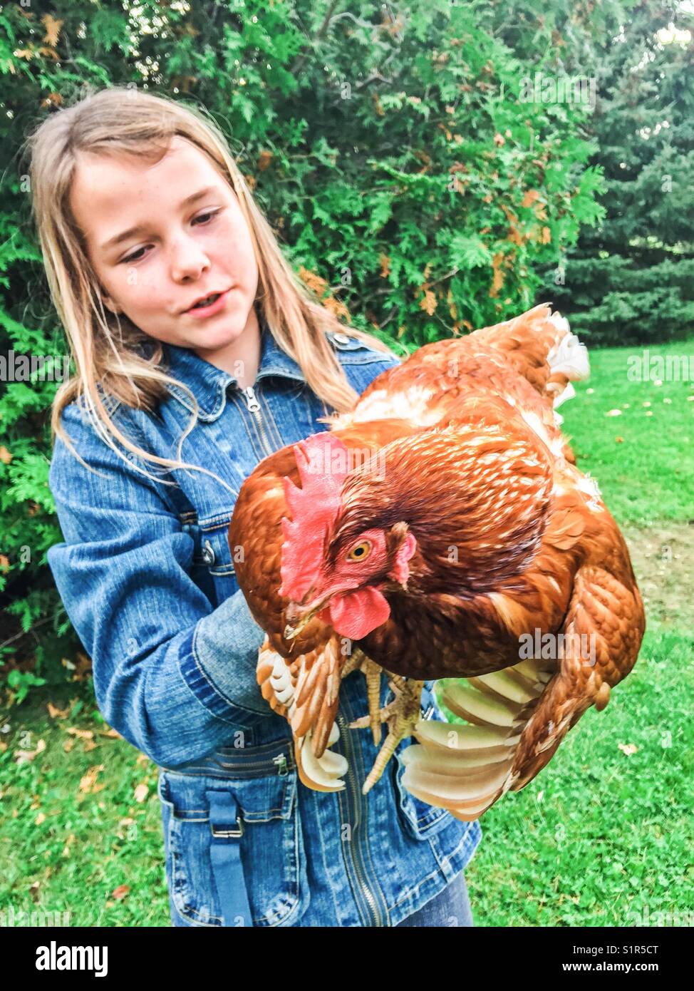 Girl holding chicken - Smartphone Captured Stock Image