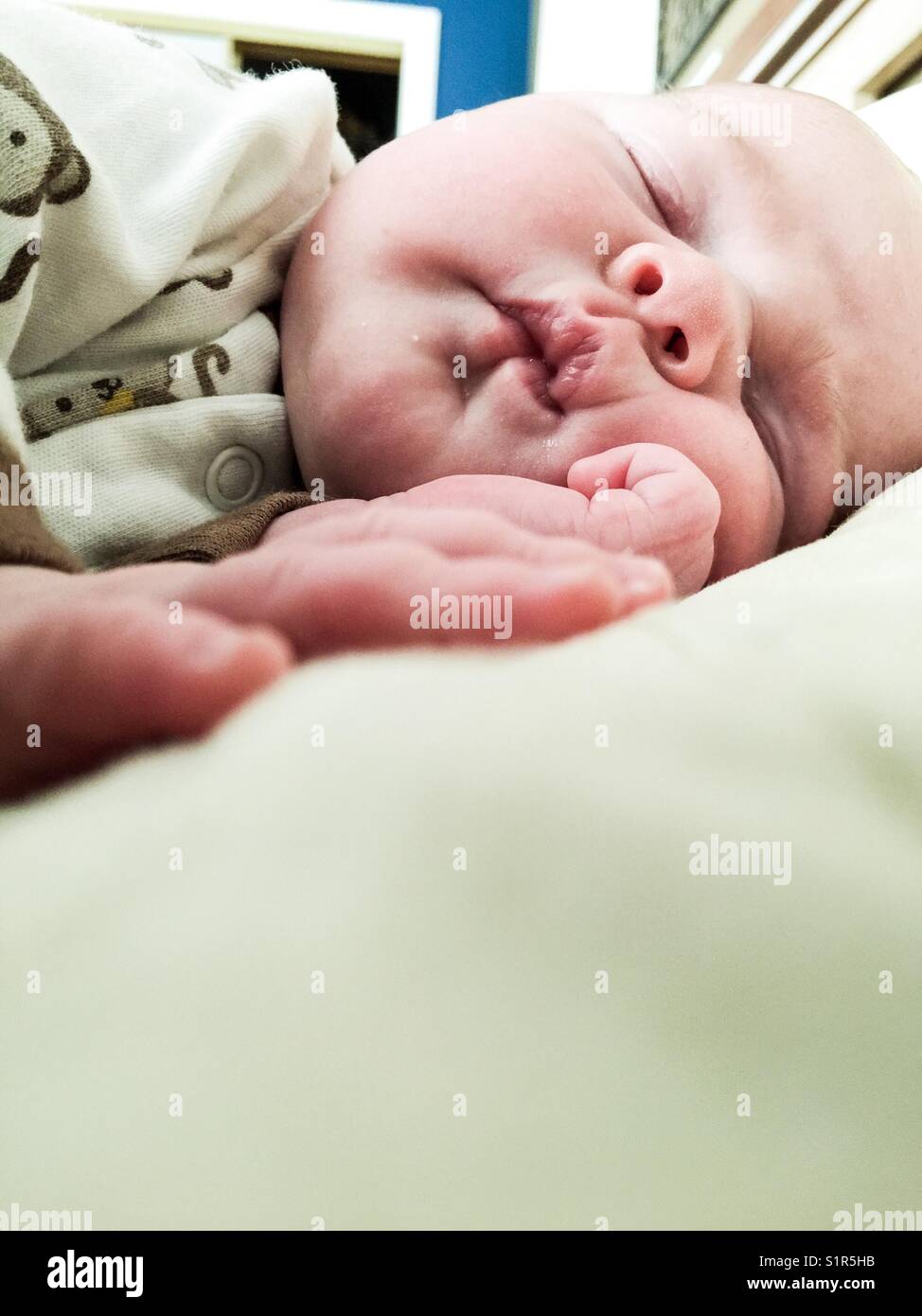 Chubby cheeked newborn baby having a nap Stock Photo