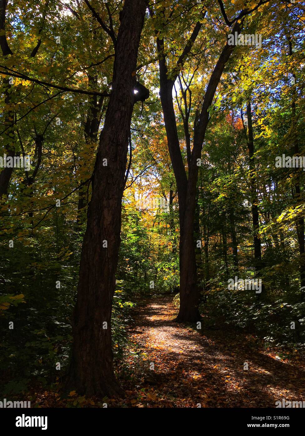 Foot path hi-res stock photography and images - Alamy
