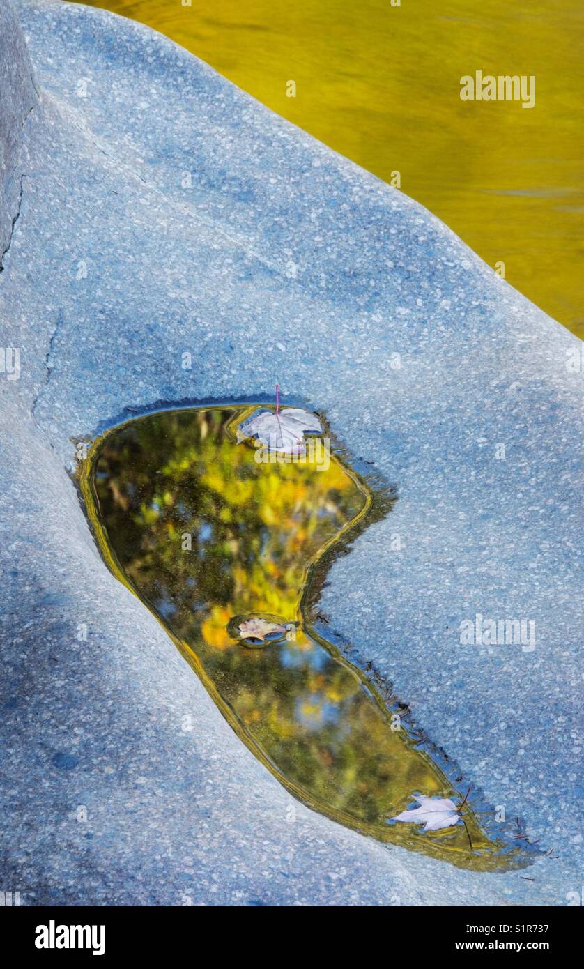 Autumn leaves reflected in rock pool, Swift River, White Mountains, New Hampshire - Smartphone Captured Stock Image