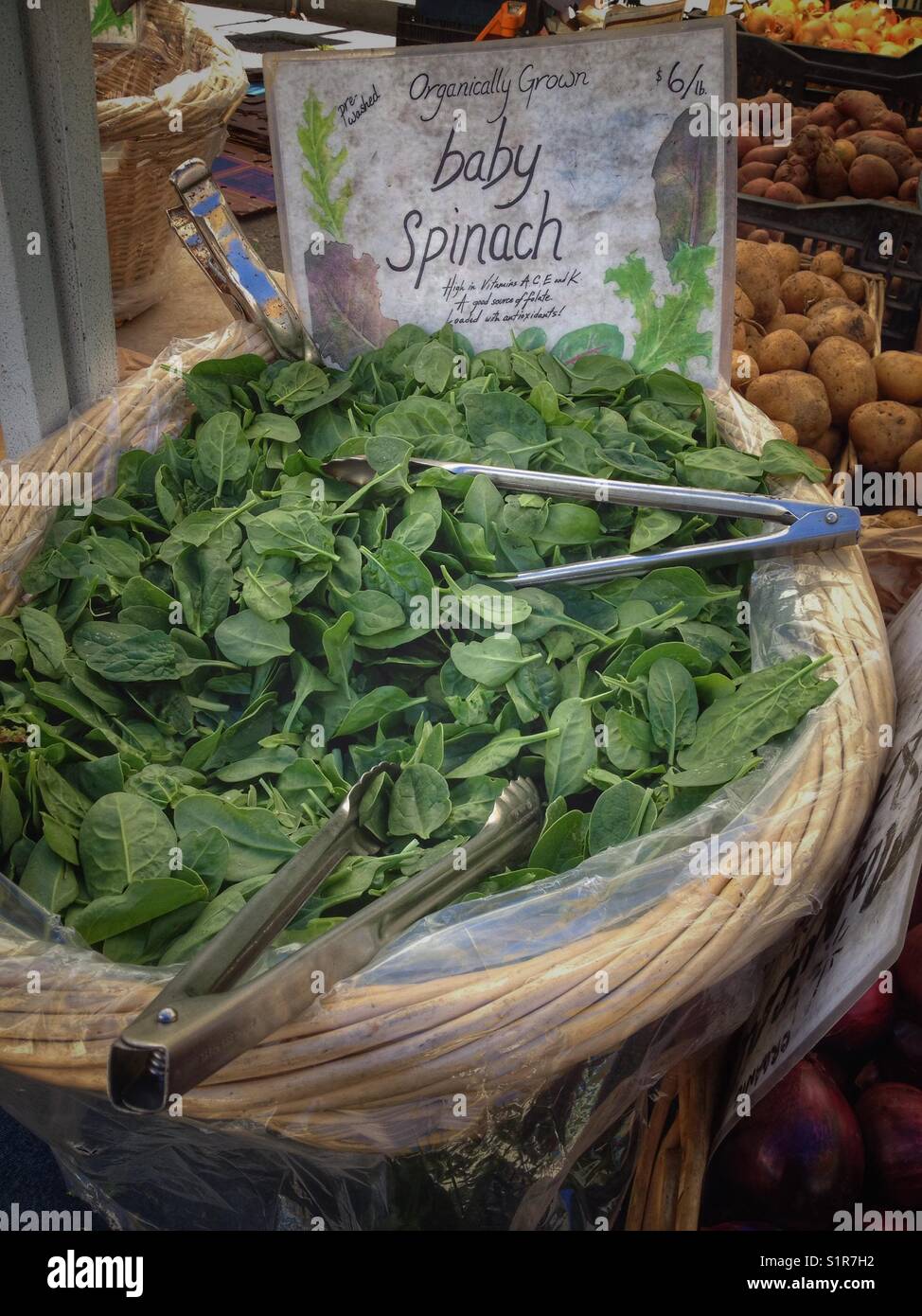 A display of baby spinach at the Berkeley Farmer's Market in Berkeley, California. - Smartphone Captured Stock Image