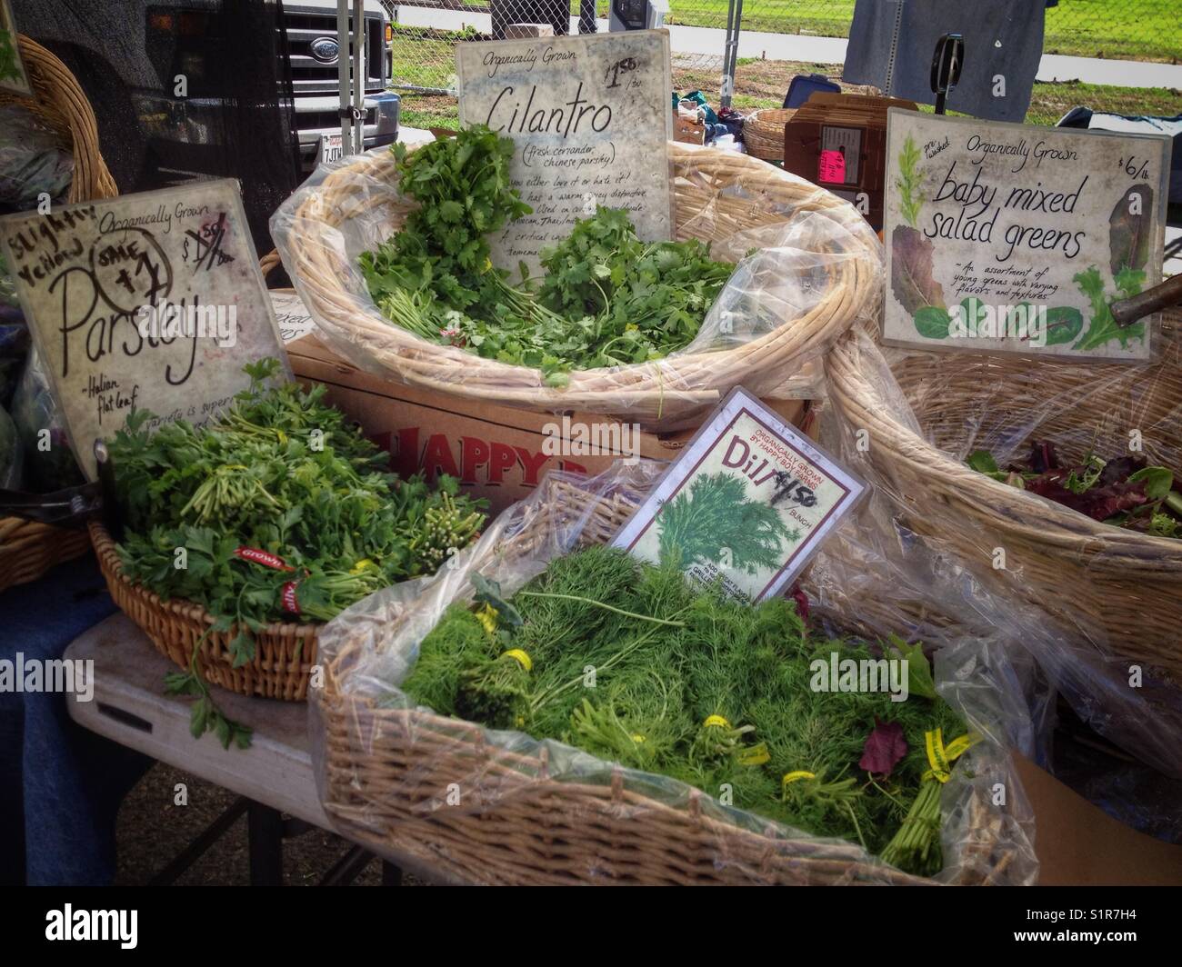 Herb baskets at the Berkeley Farmers Market in Berkeley, California. - Smartphone Captured Stock Image