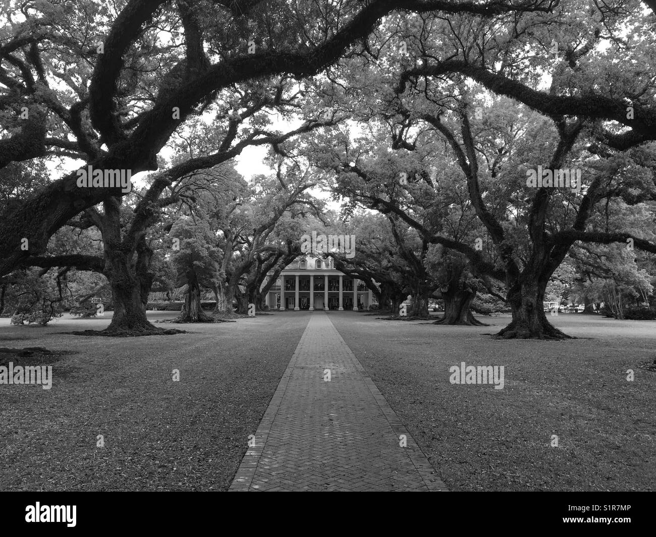 Louisiana plantation Black and White Stock Photos & Images Alamy