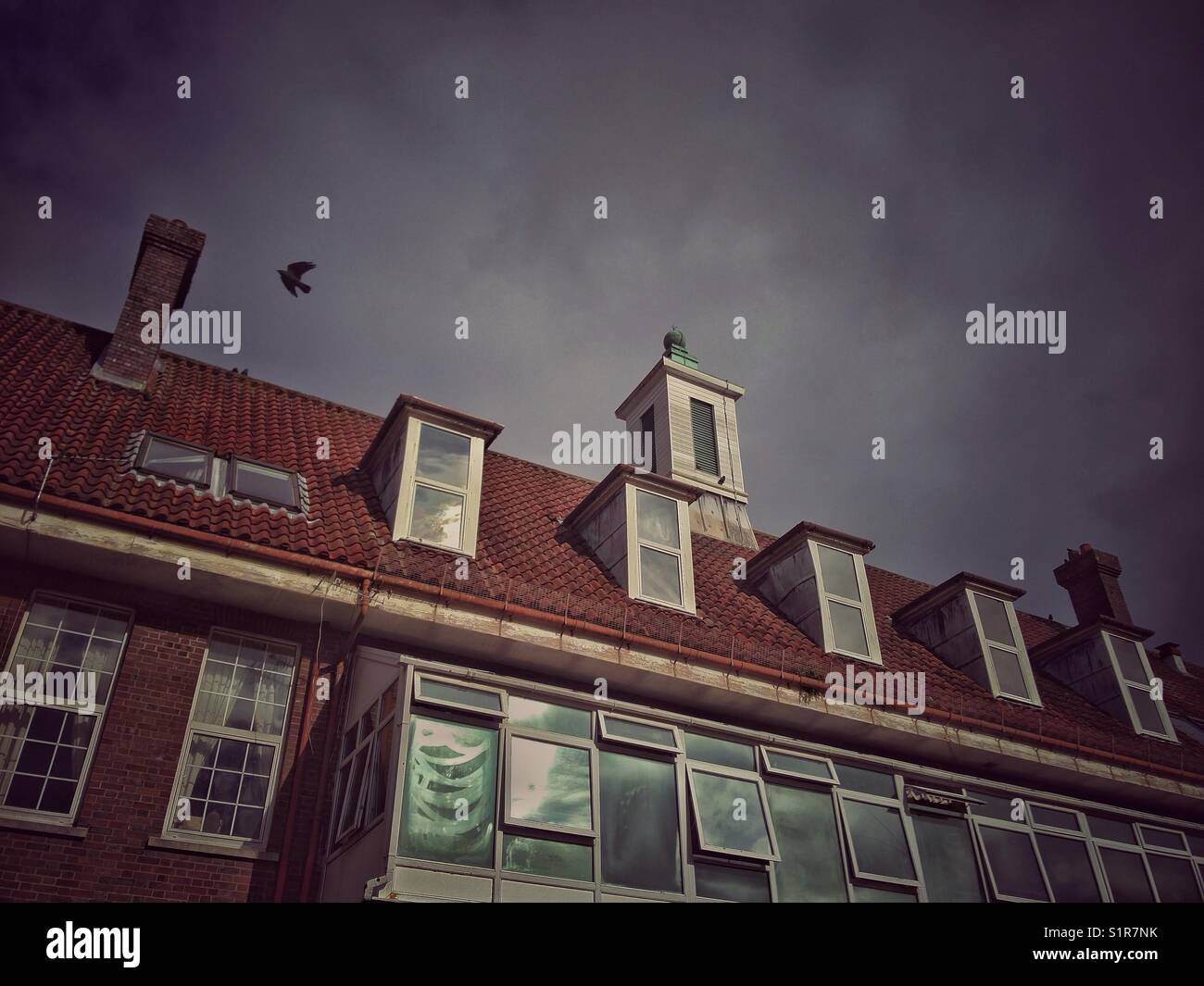 Roof and dormers of an old building with a bird silhouette flying above - Smartphone Captured Stock Image
