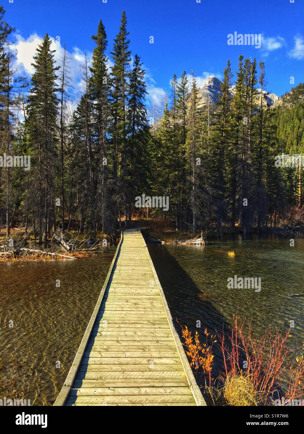 Northern Rocky Mountain Grotto