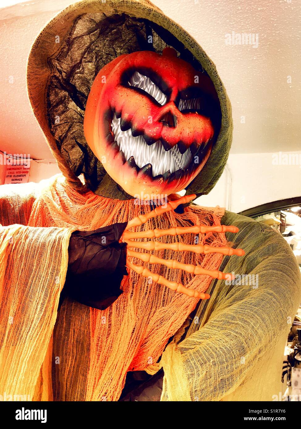 Halloween Display of skeleton and pumpkin monster, USA. - Smartphone Captured Stock Image
