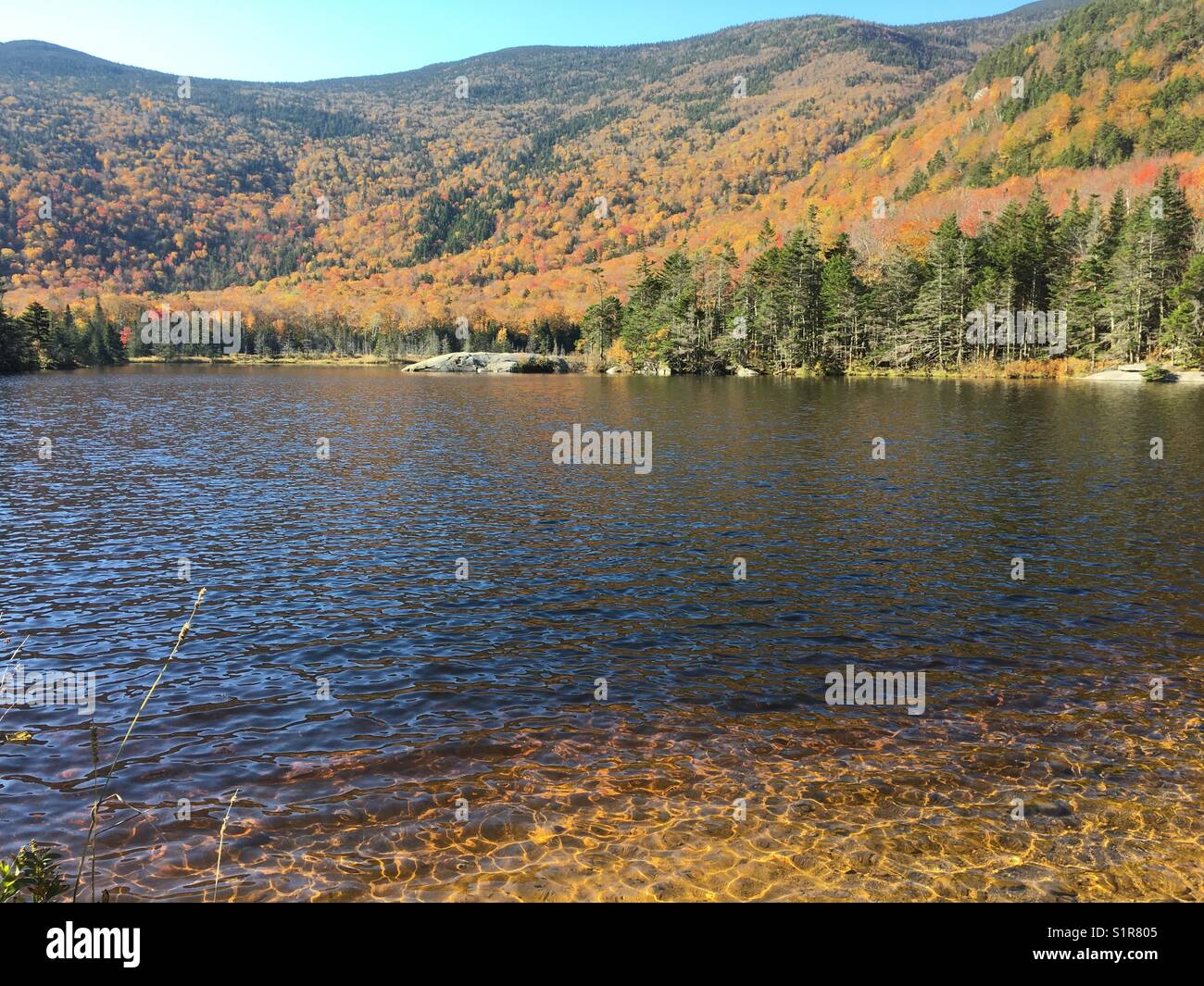 Beaver Lake, New Hampshire Stock Photo Alamy