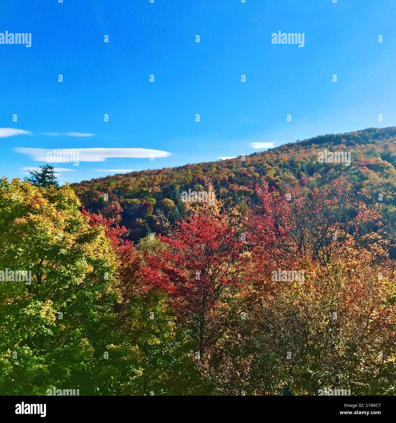 Fall Colors, Stowe Vermont Stock Photo