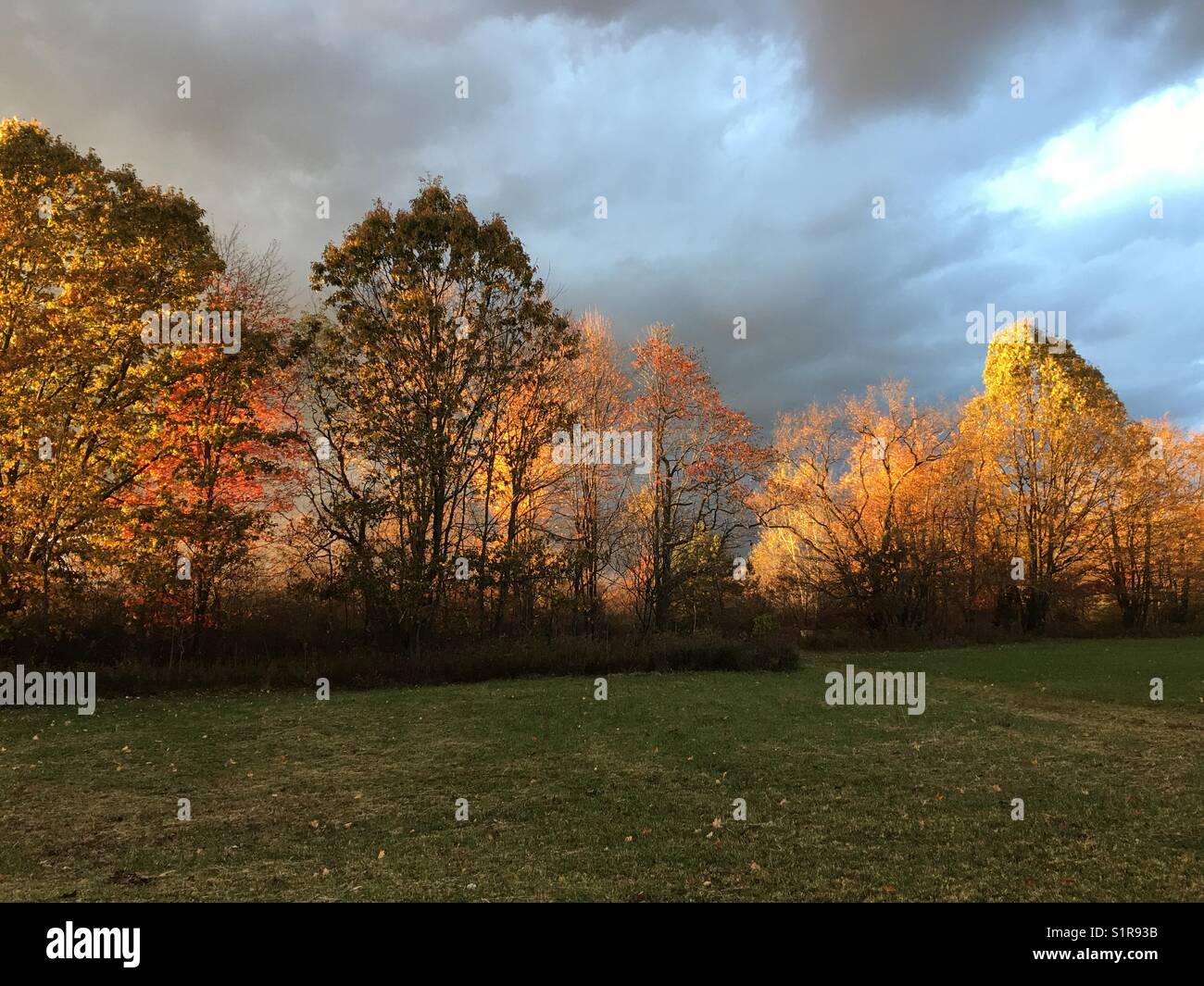 Fall colors - Smartphone Captured Stock Image