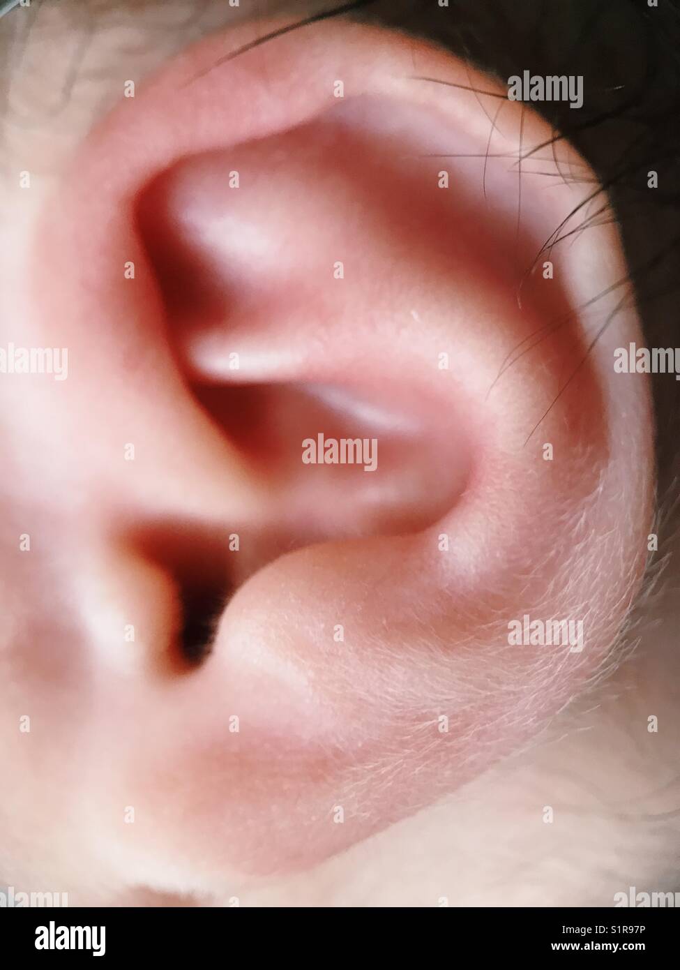 Macro photograph of a newborn baby's ear. Stock Photo