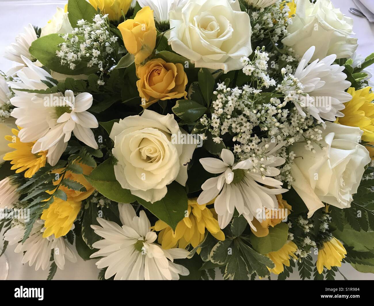 Daisy And Roses Hi res Stock Photography And Images Alamy daisy-and-roses-hi-res-stock-photography-and-images-alamy