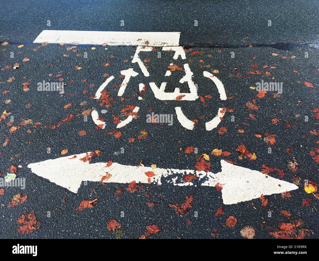 Bicycle lane - Smartphone Captured Stock Image