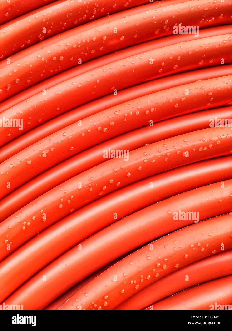 Abstract shot of a orange pipe roll with rain drops Stock Photo