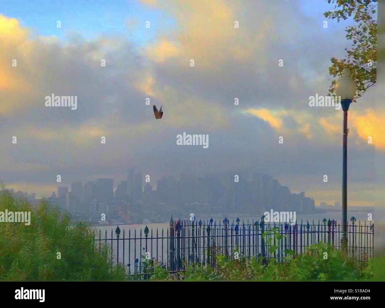 Butterfly and New York City skylines Stock Photo