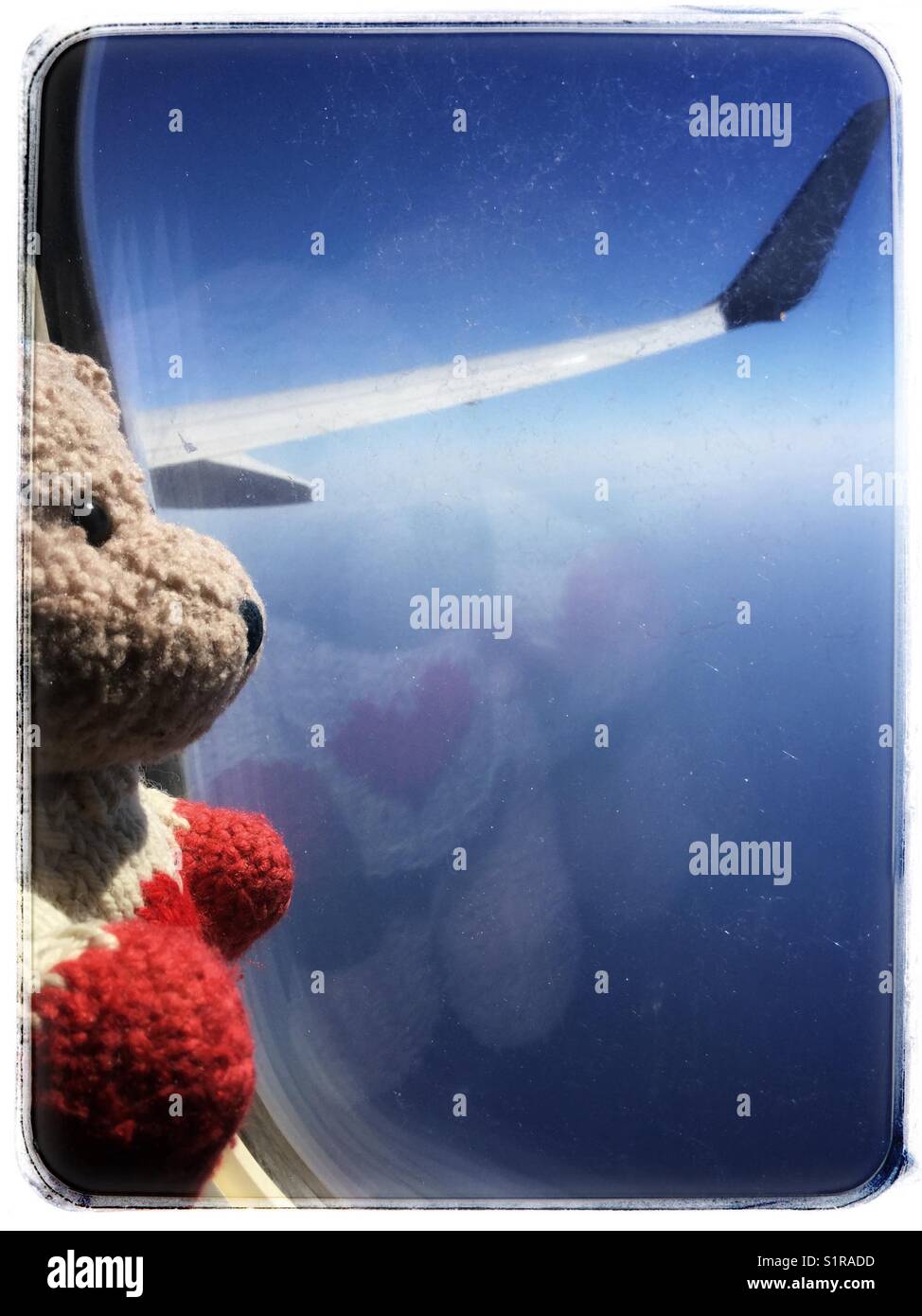 Stuffed bear looking out of a plane window during a flight. Stock Photo