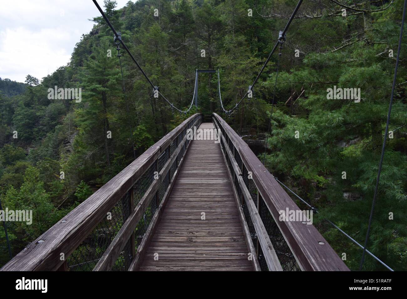 Tallulah Falls Suspension Bridge Stock Photo Alamy