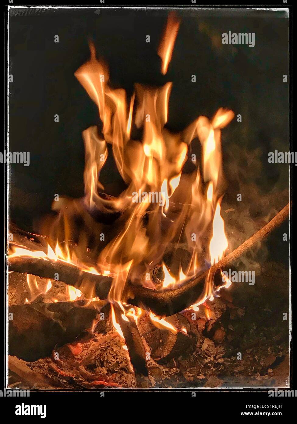 Wood fire burning at night - Smartphone Captured Stock Image