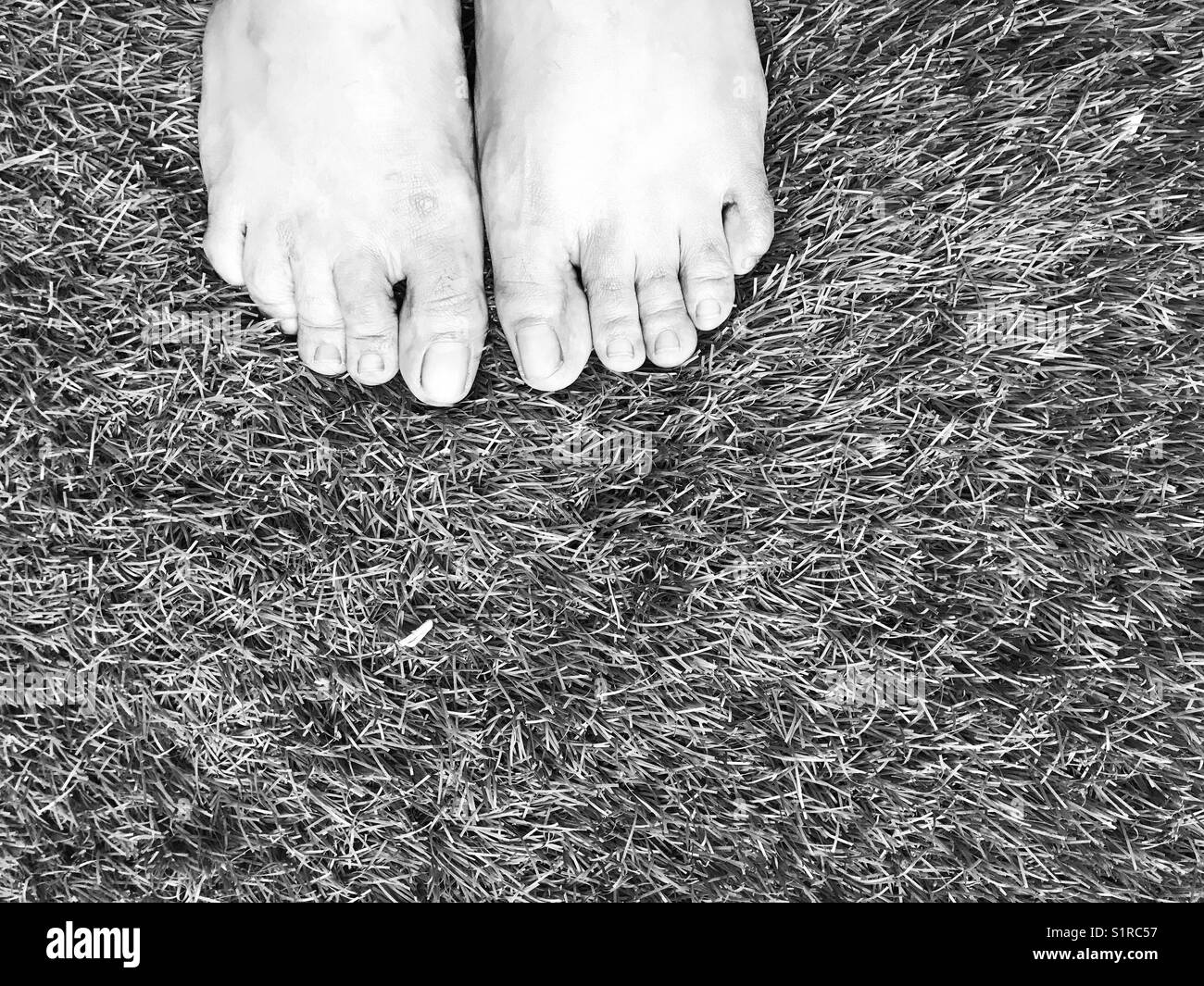 Standing on grass Stock Photo Alamy