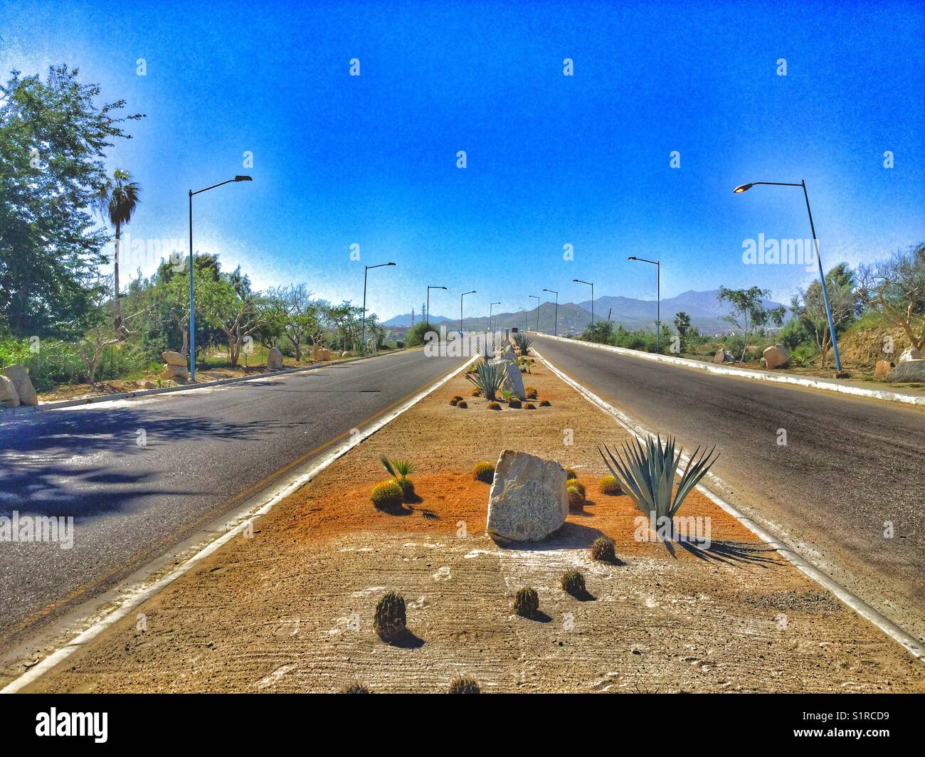 A desert road in Puerto Los Cabos, Baja California, Mexico. - Smartphone Captured Stock Image