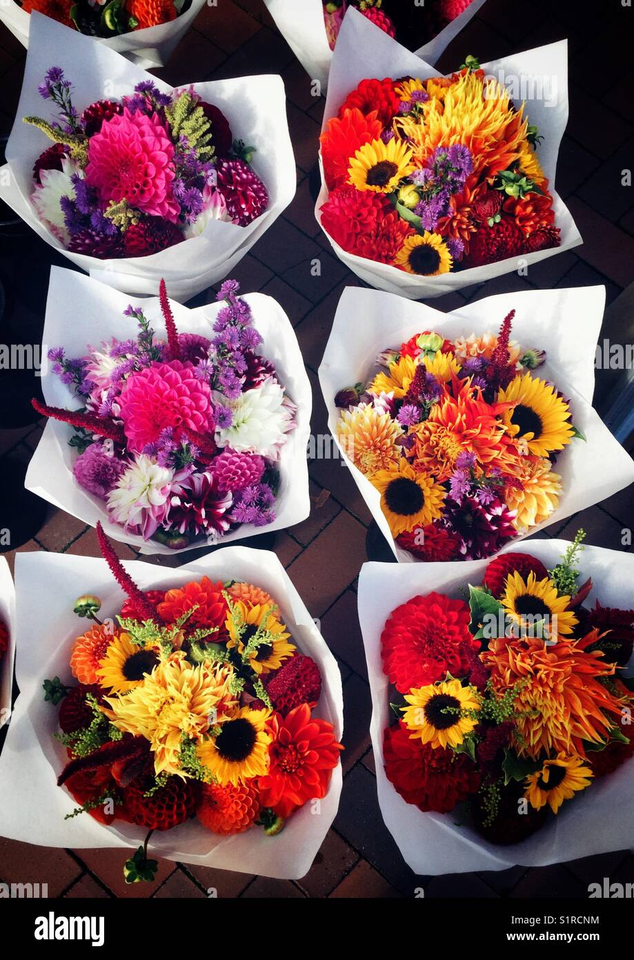 Original farm fall flower bouquets wrapped   in white paper on the ground at farmers market in Seattle WA Stock Photo