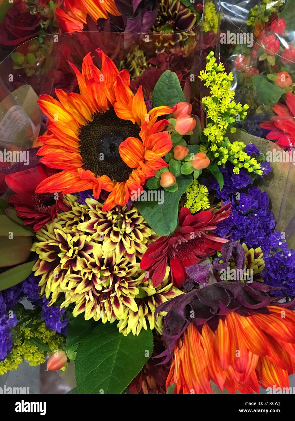 Chrysanthemum bunch hires stock photography and images Alamy