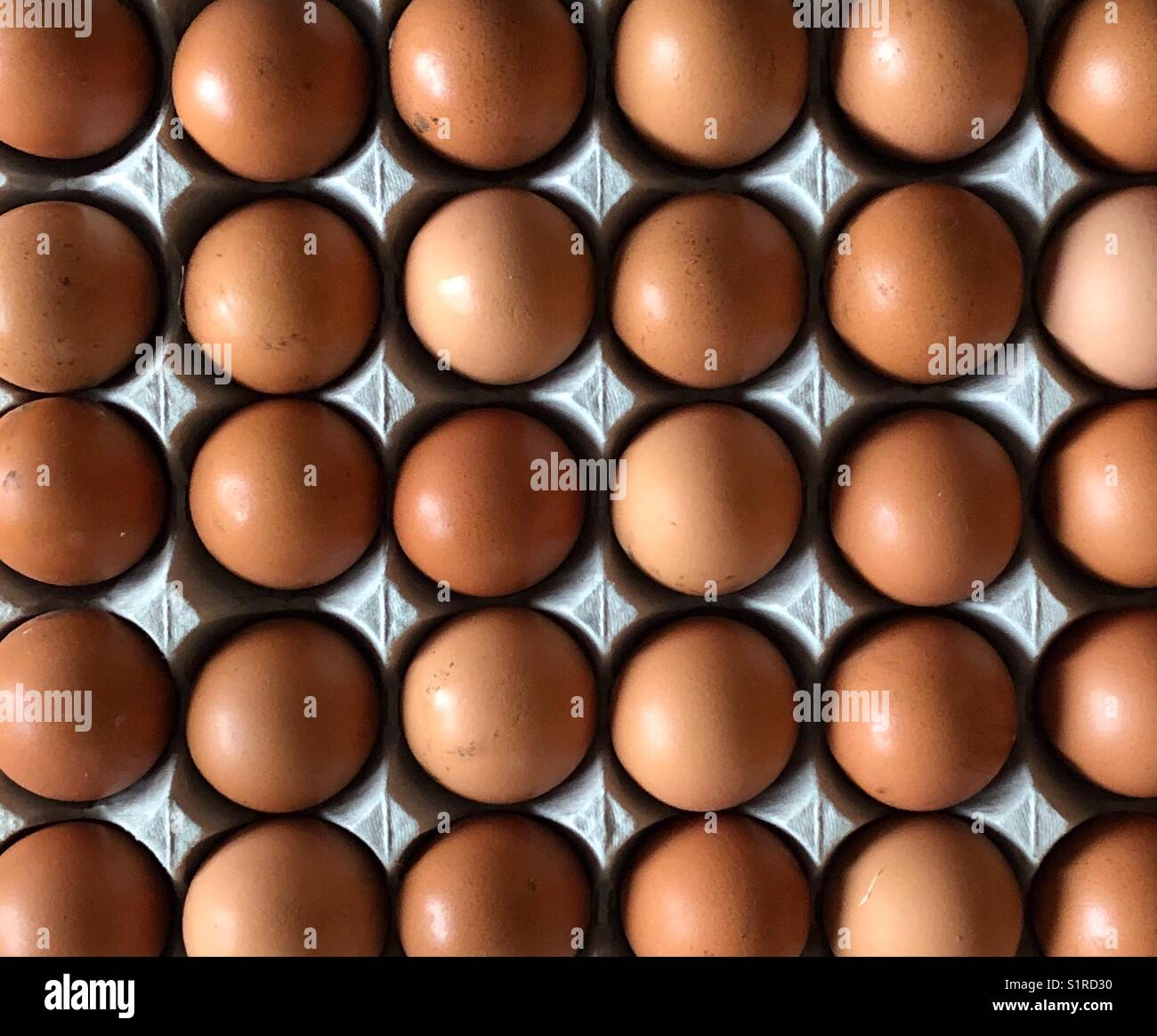 Full tray of farm fresh brown chicken eggs - Smartphone Captured Stock Image