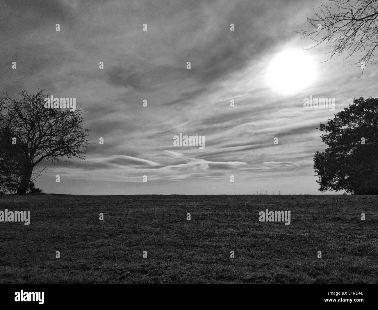 Monochrome landscape with clouds and trees. - Smartphone Captured Stock Image