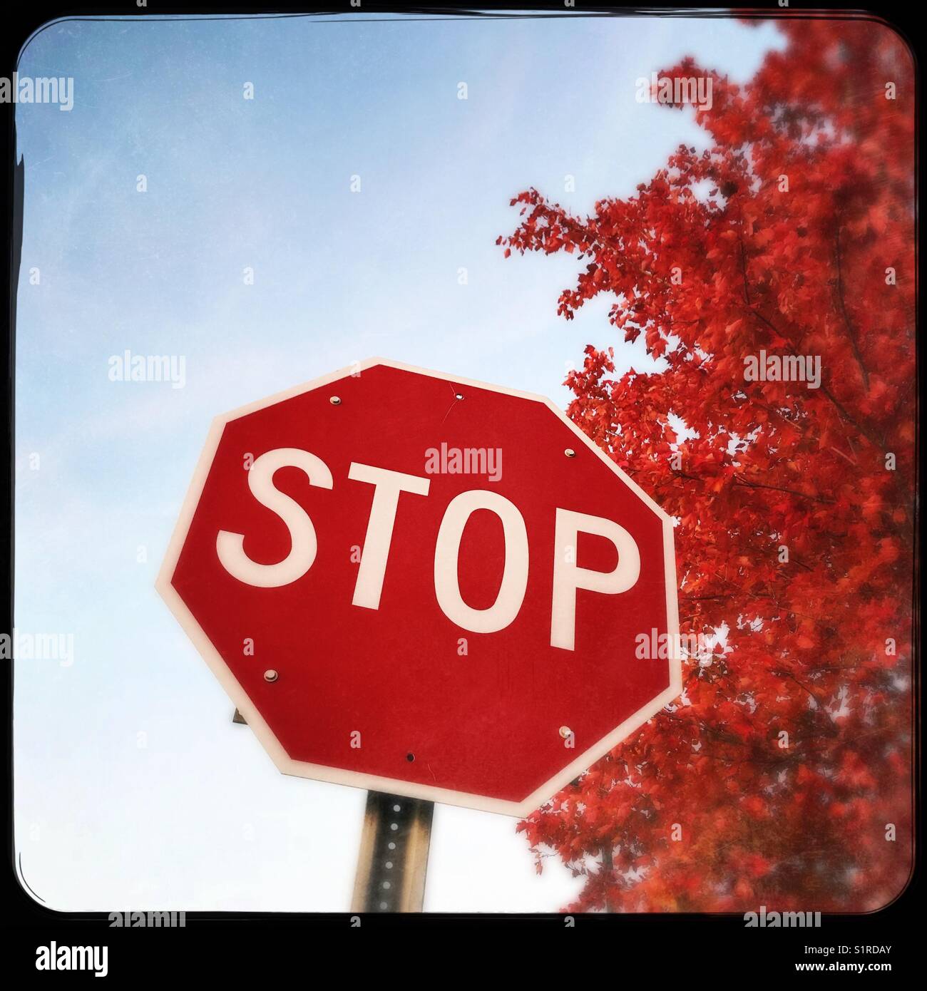 Stop sign - Smartphone Captured Stock Image