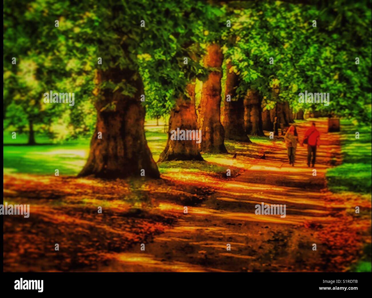 A couple stroll hand in hand in Hyde Park, London. - Smartphone Captured Stock Image