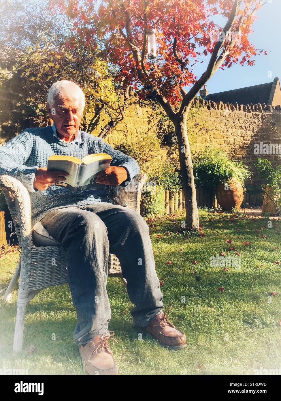 Senior man sitting in garden, reading a book, - Smartphone Captured Stock Image
