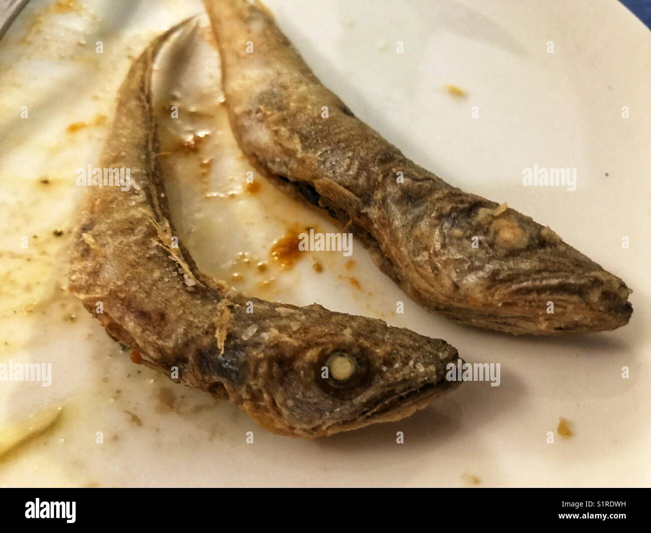 Spanish tapas bar food : deep fried boquerones or bocarones - Smartphone Captured Stock Image