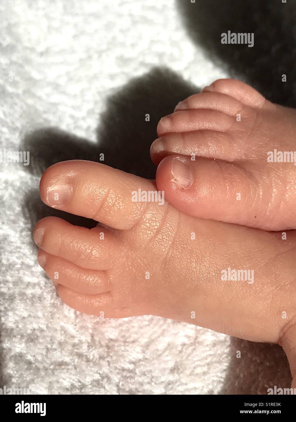 The tiny toes and feet of a newborn baby. Stock Photo