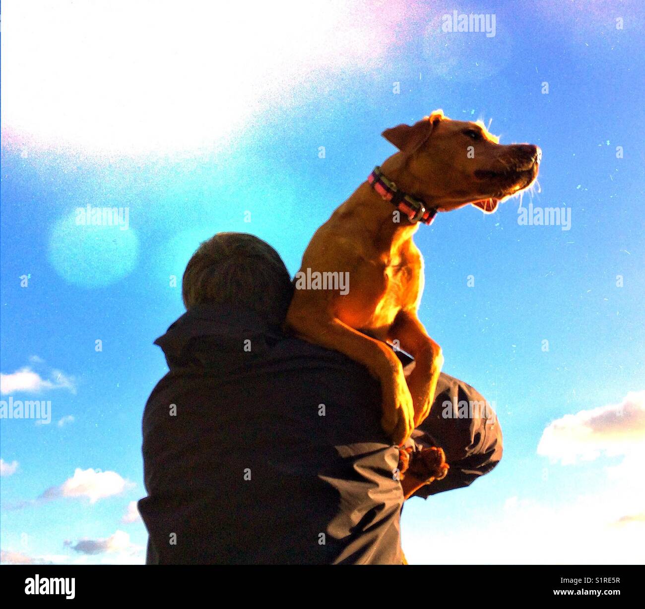 A macho man carrying his dog into a sunset Stock Photo