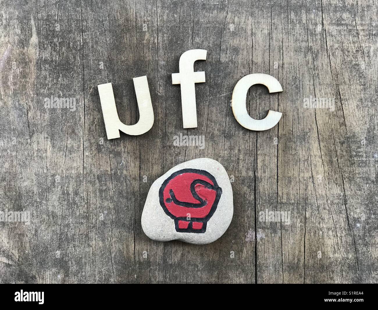 UFC, Ultimate Fighting Championship - Smartphone Captured Stock Image