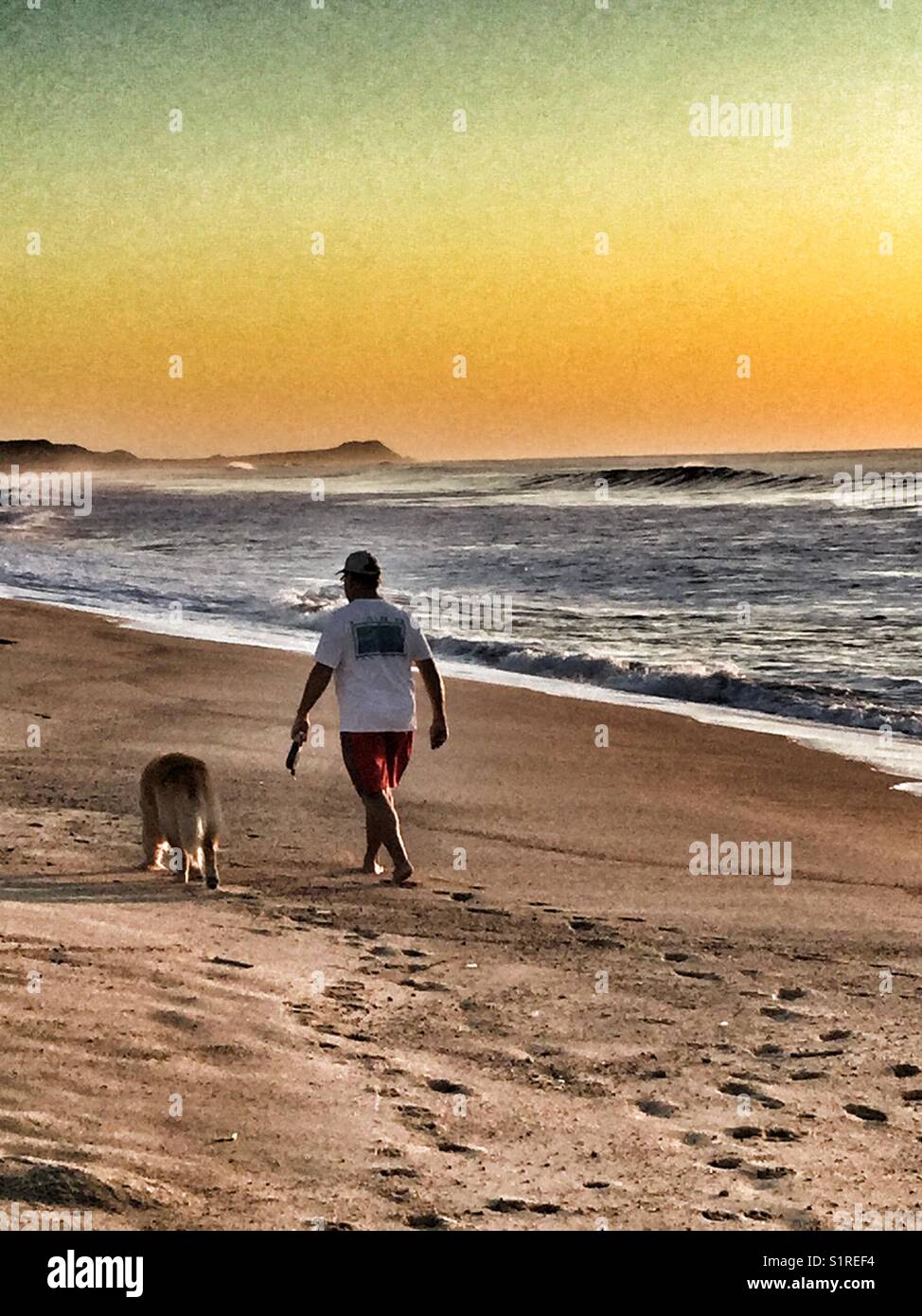 Man walking his dog on the beach as the sun rises Stock Photo - Alamy