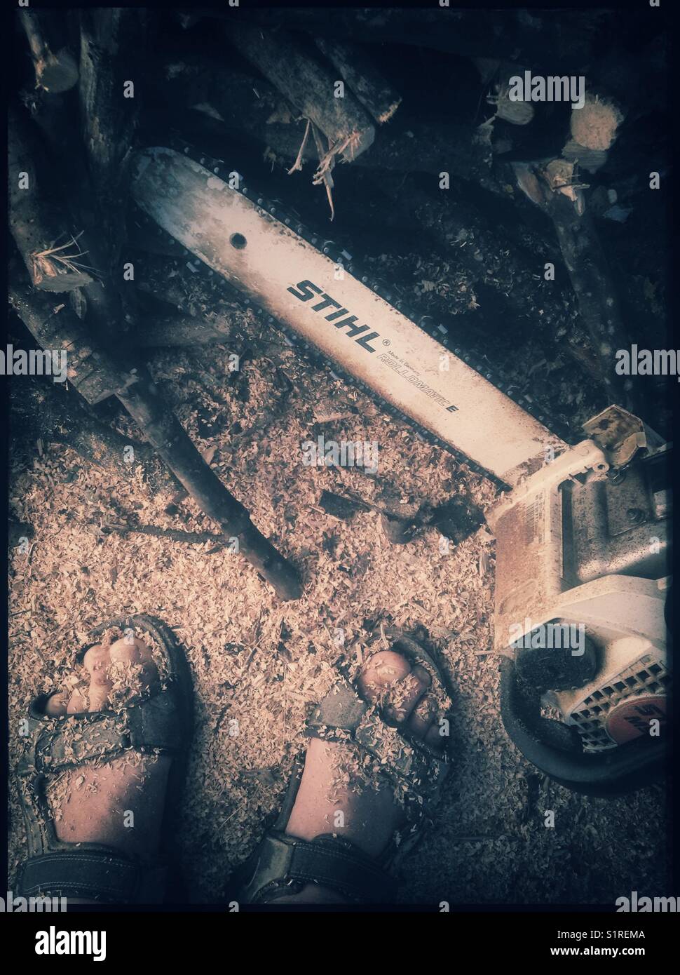 Chopping firewood in preparation for winter, Catalonia, Span. - Smartphone Captured Stock Image