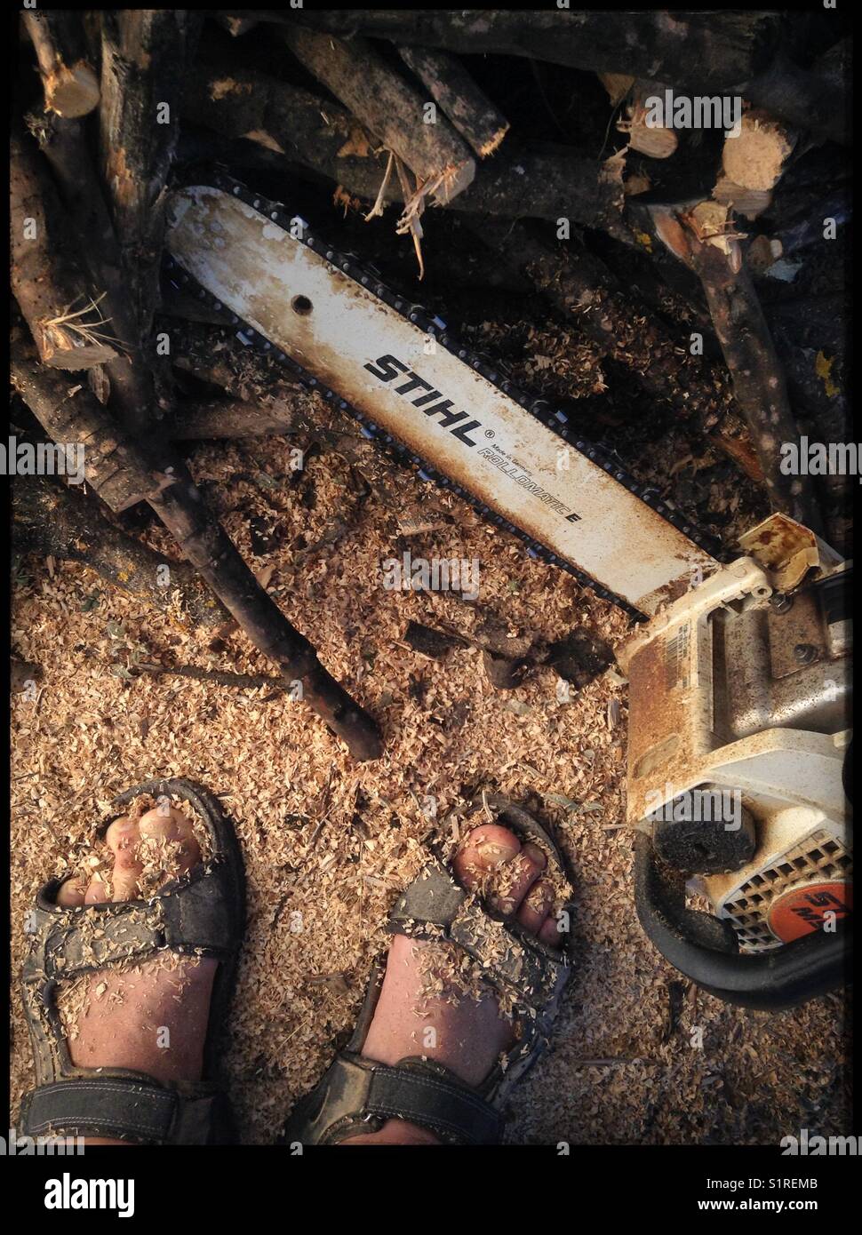 Chopping firewood in preparation for winter, Catalonia, Span. - Smartphone Captured Stock Image