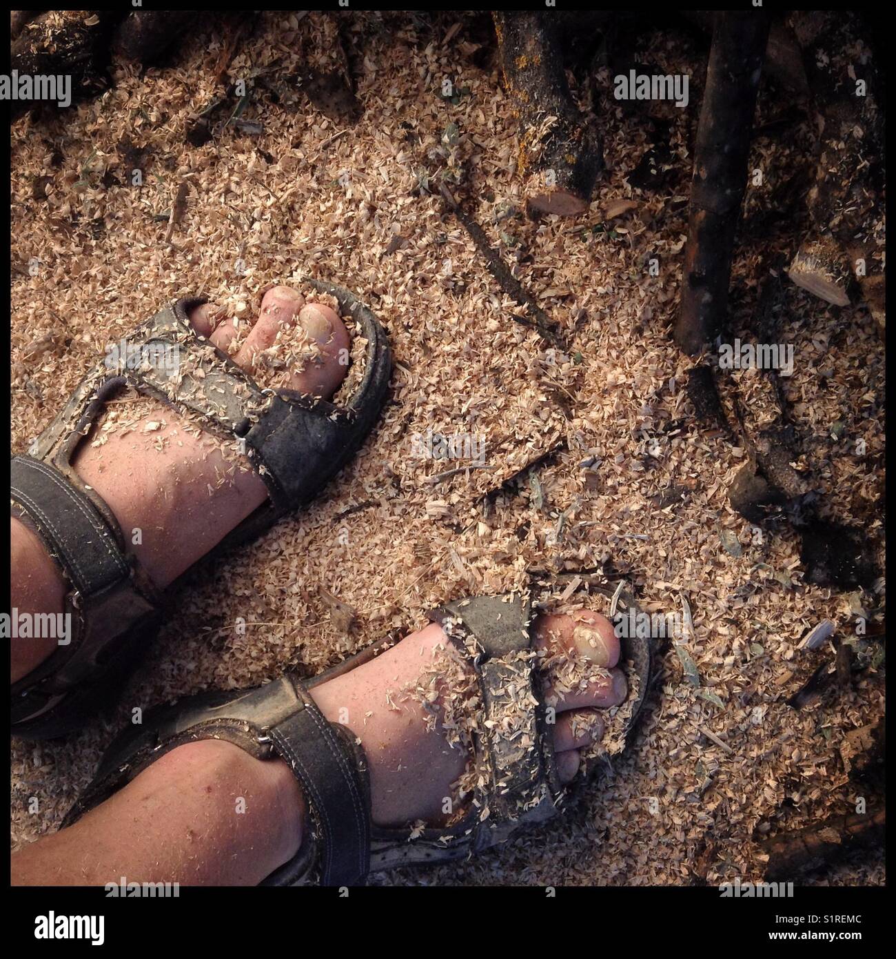 Feet covered in sawdust after chopping firewood in preparation for winter, Catalonia, Span. - Smartphone Captured Stock Image