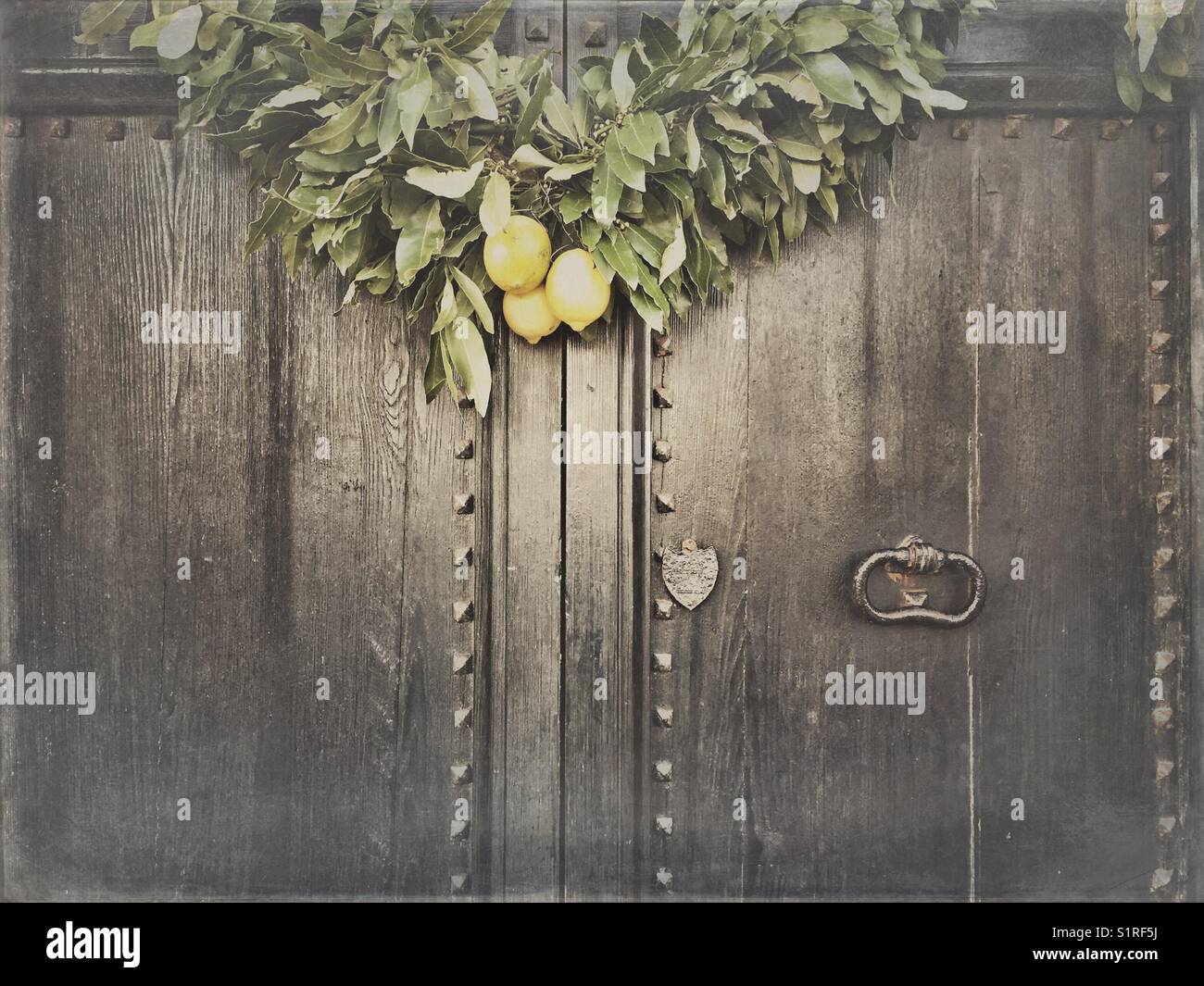 Branch with lemons front door decor Stock Photo