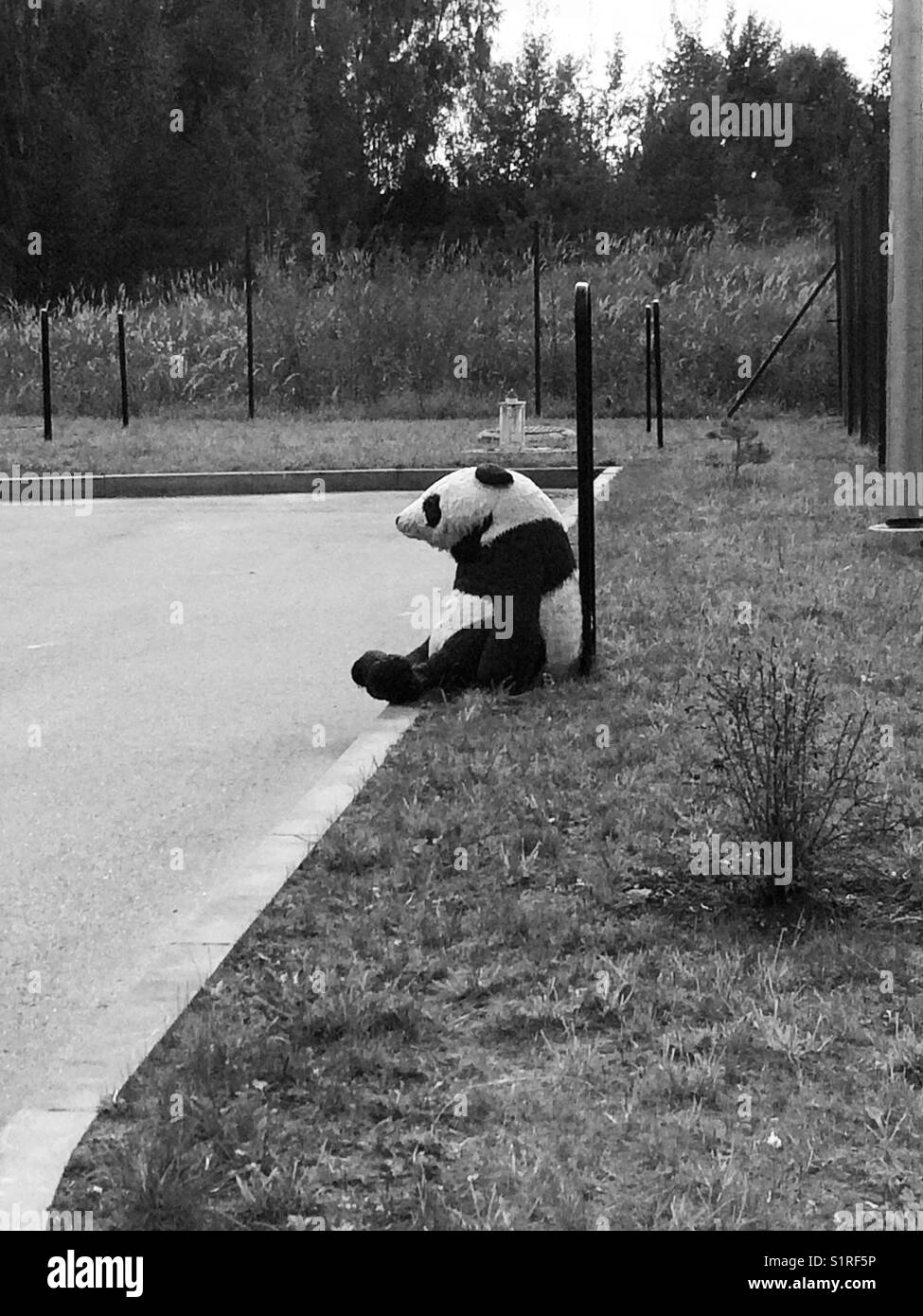 Toy panda sitting lonely outdoors - Smartphone Captured Stock Image
