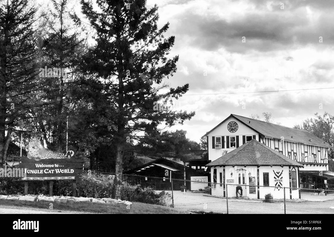 Jungle Cat World zoo located in Orono, Ontario, Canada - Smartphone Captured Stock Image